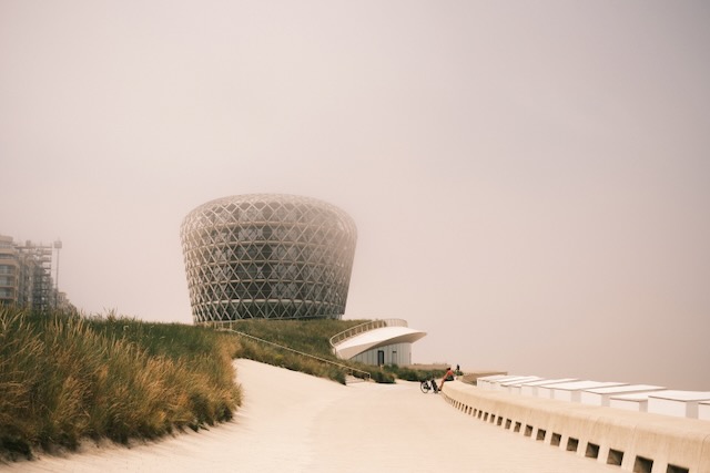 Photograph 6 by Frans Leys